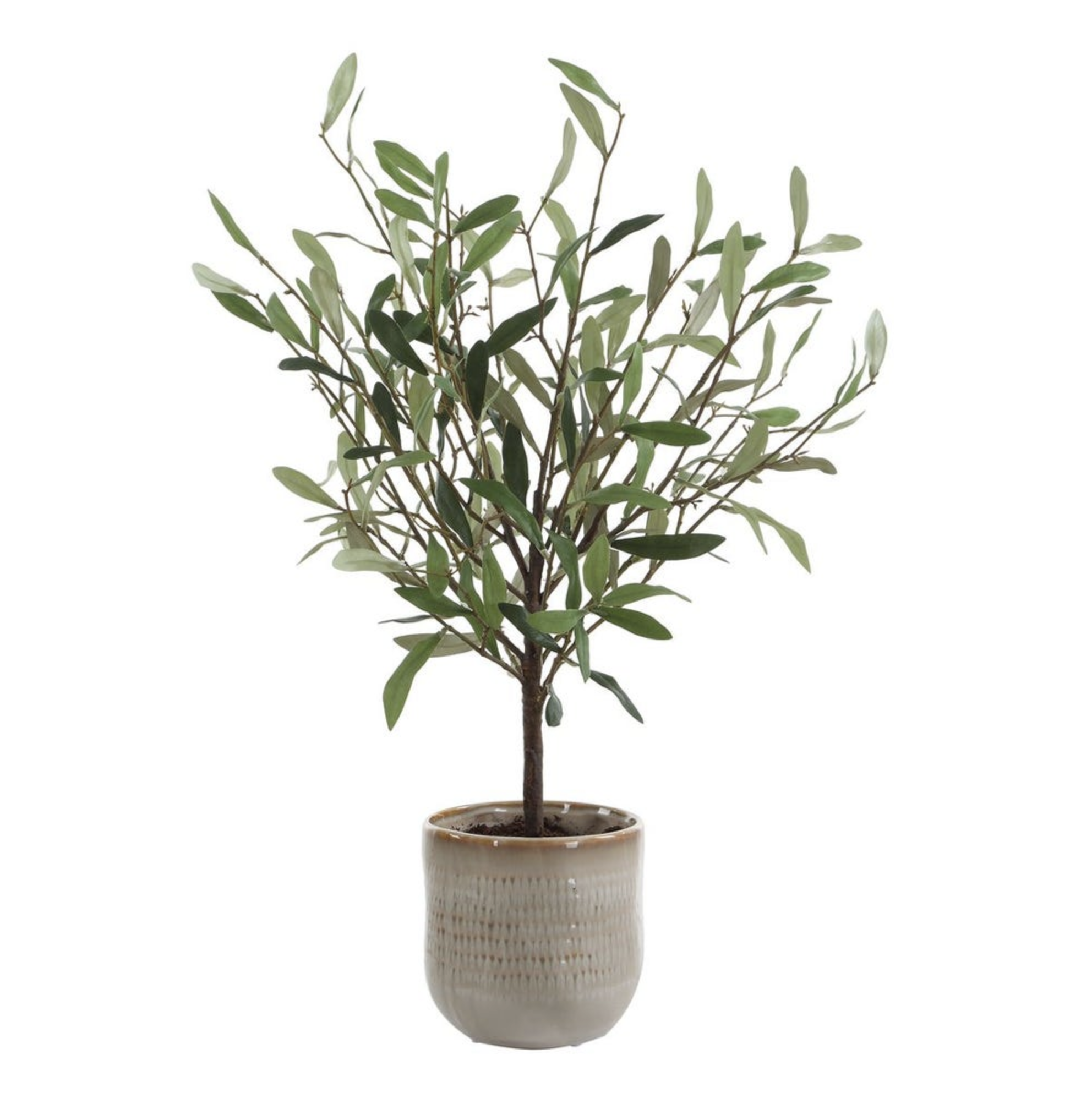 Screen Shot 2026-03-16 at 1.22.33 PM.png