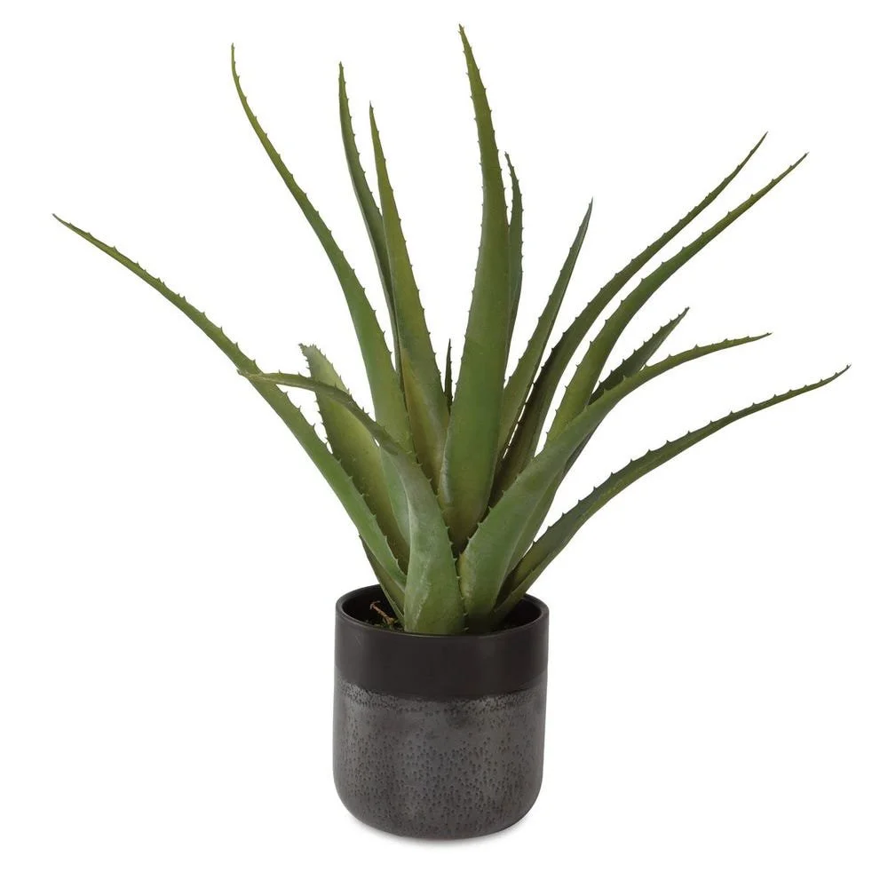 19" Tucson Aloe Planter