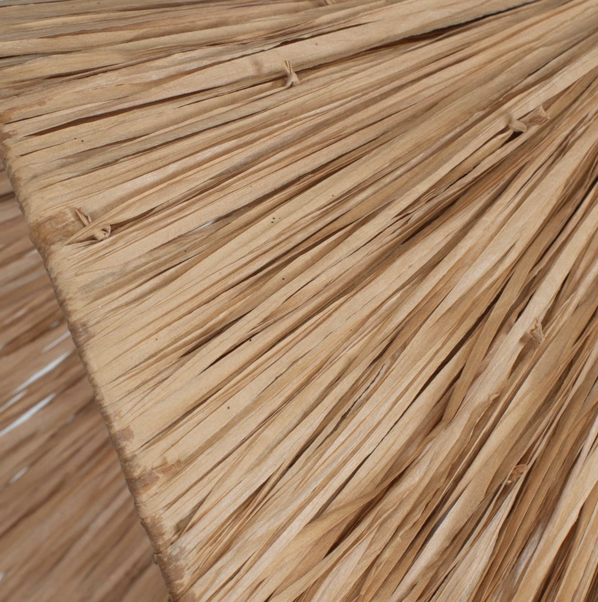 Screen Shot 2025-12-29 at 11.30.57 AM.png