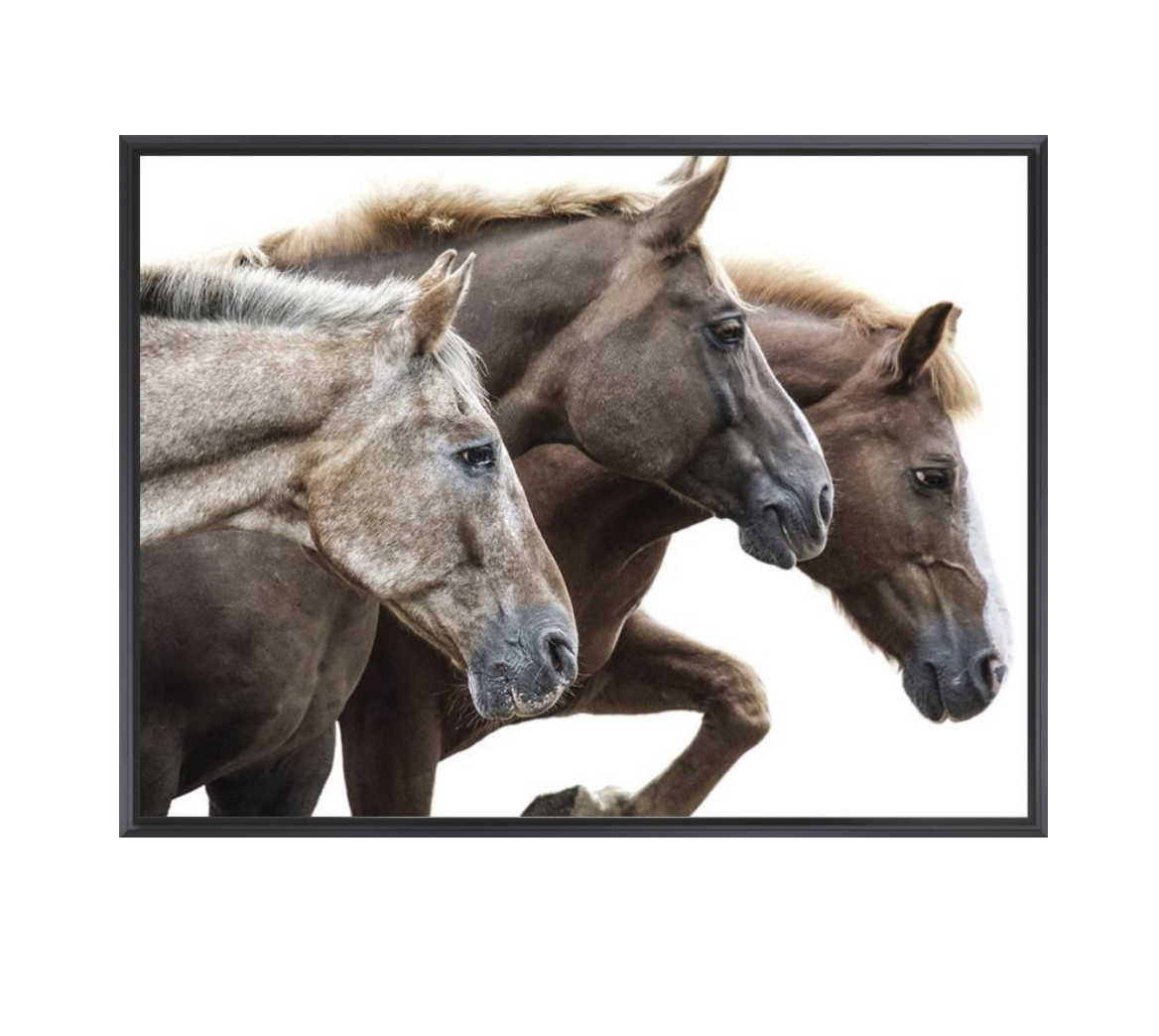 Bold Equine-Run Framed Canvas