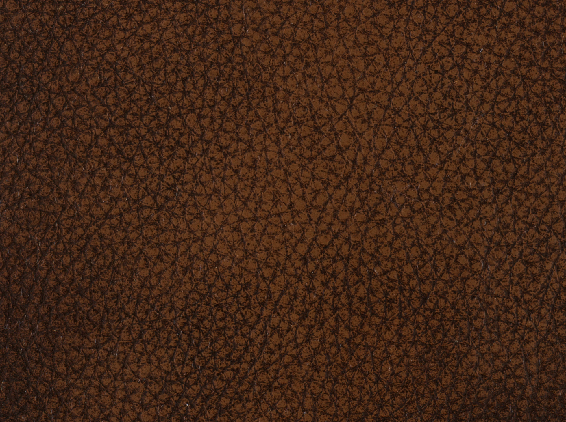 Screenshot 2026-01-15 at 2.05.18 PM.png