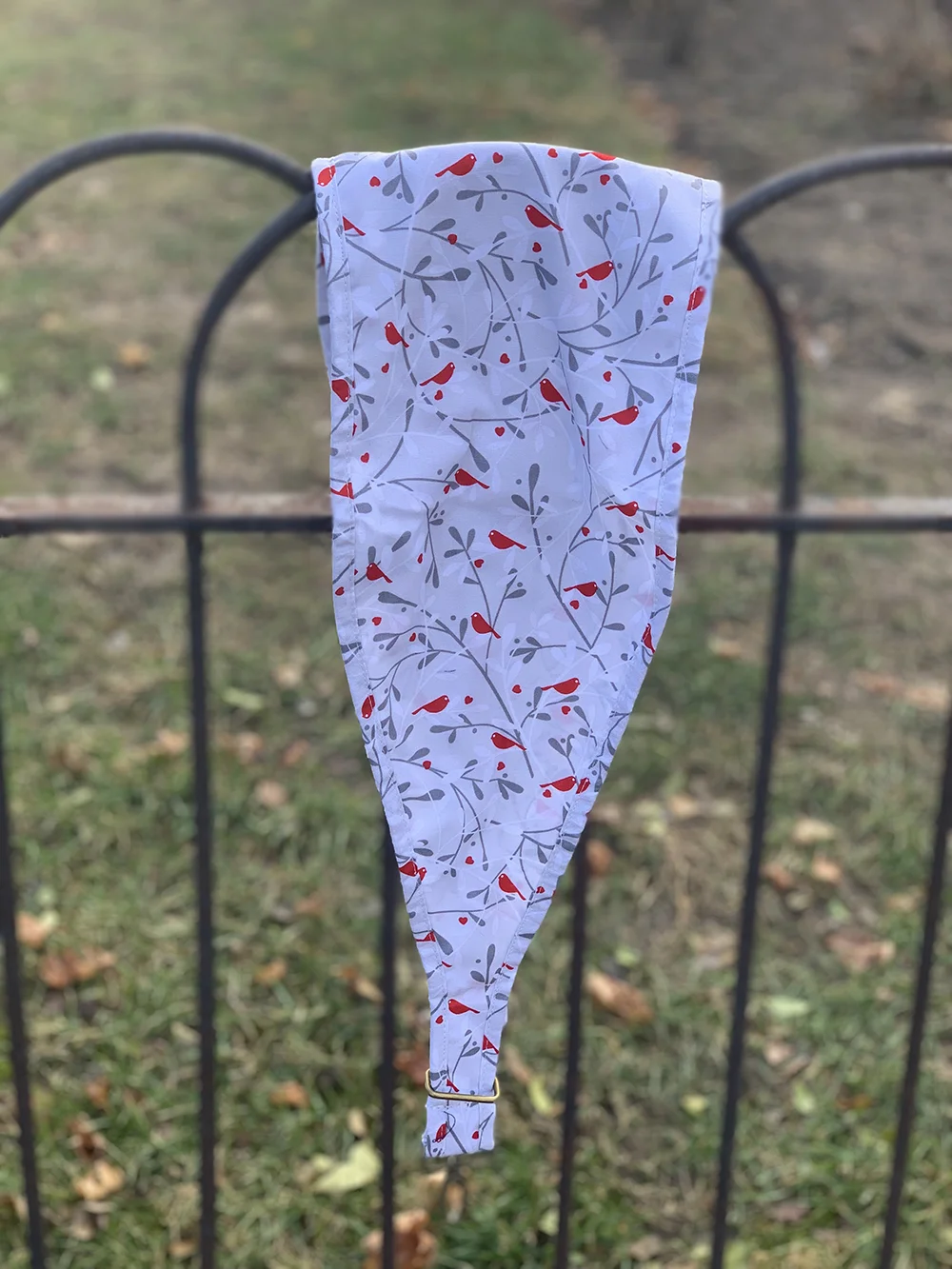 Little Red Bird