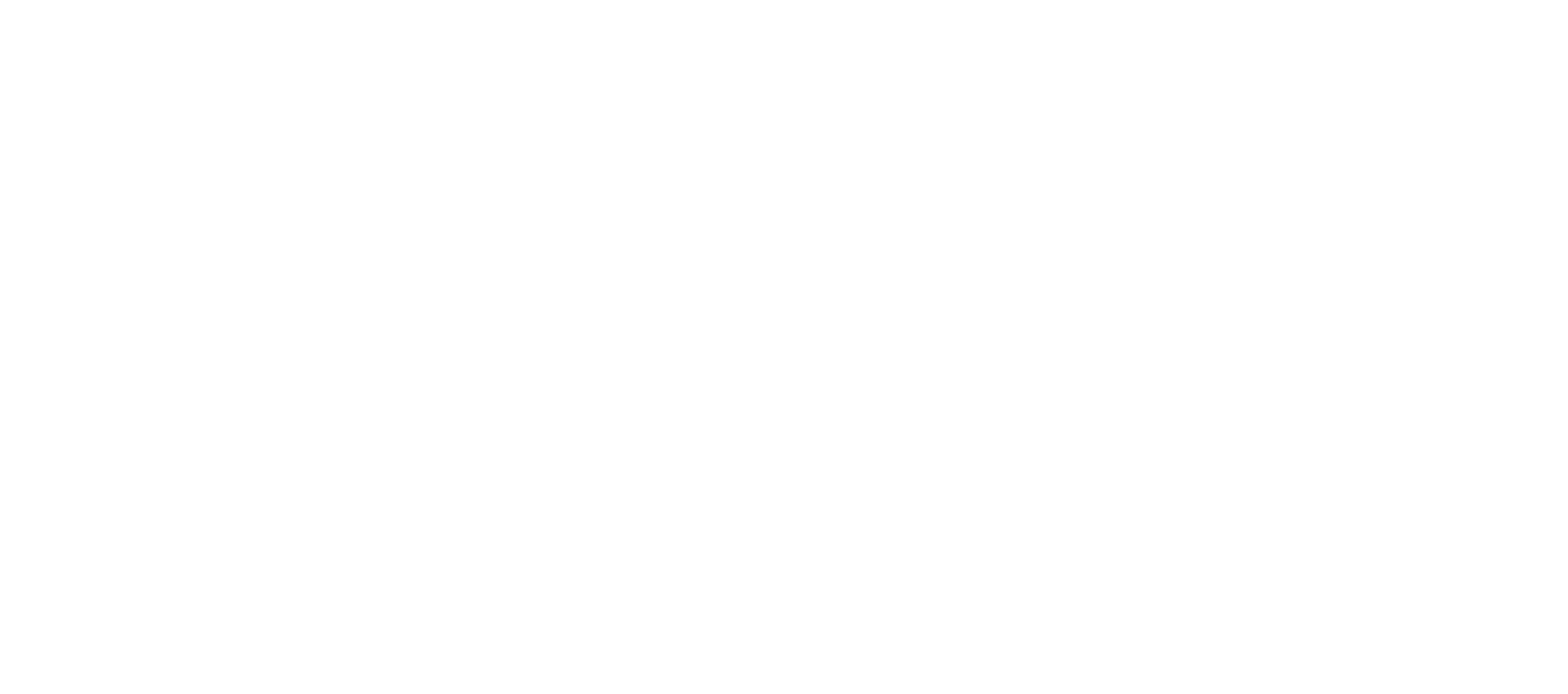 NEWWORKSLOGO.png