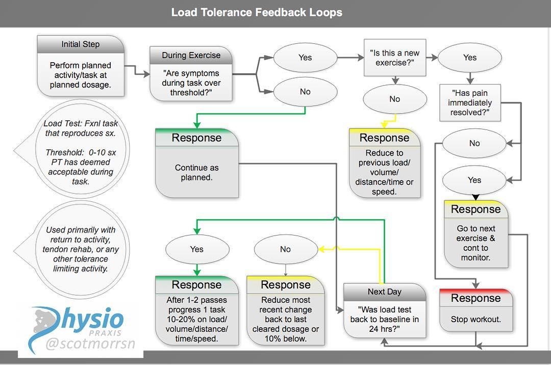 Load Tolerance Feedback Loops.jpg