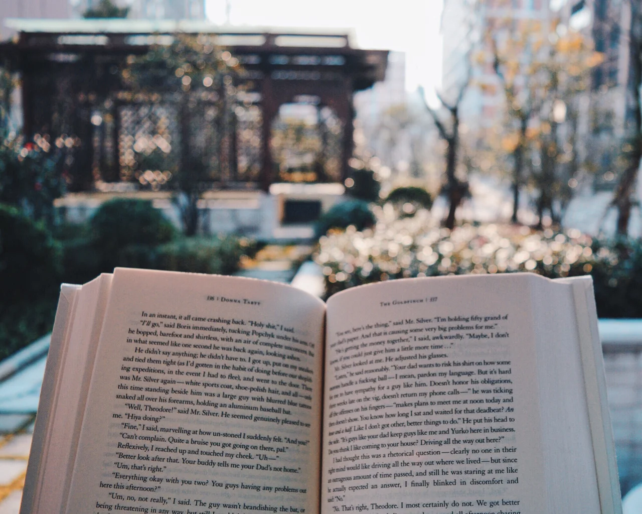 'A few quick thoughts on books' - Shannelle Chua, The Goldfinch 1.jpg