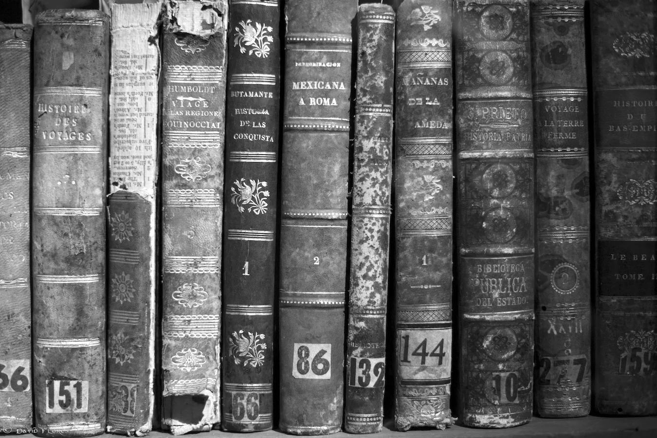 Beautiful Old Books.jpg