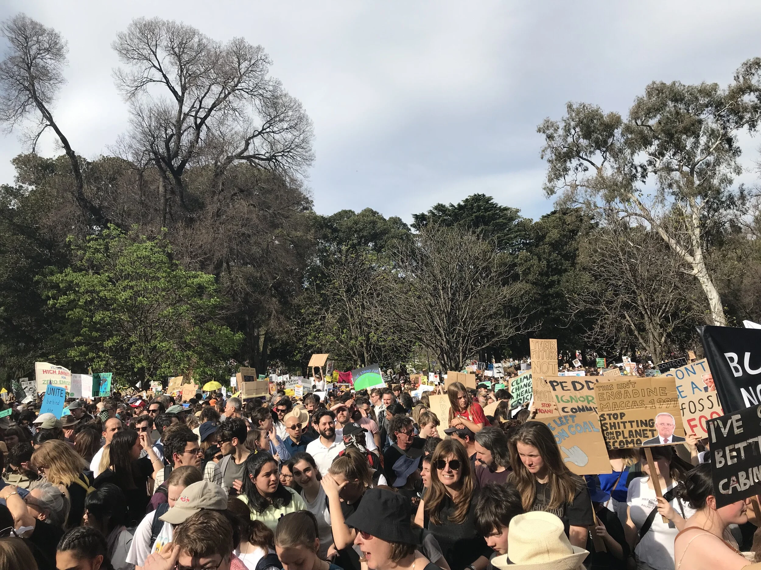 Protesters filled the Treasury Gardens. Photograph by Sophie O’Shea