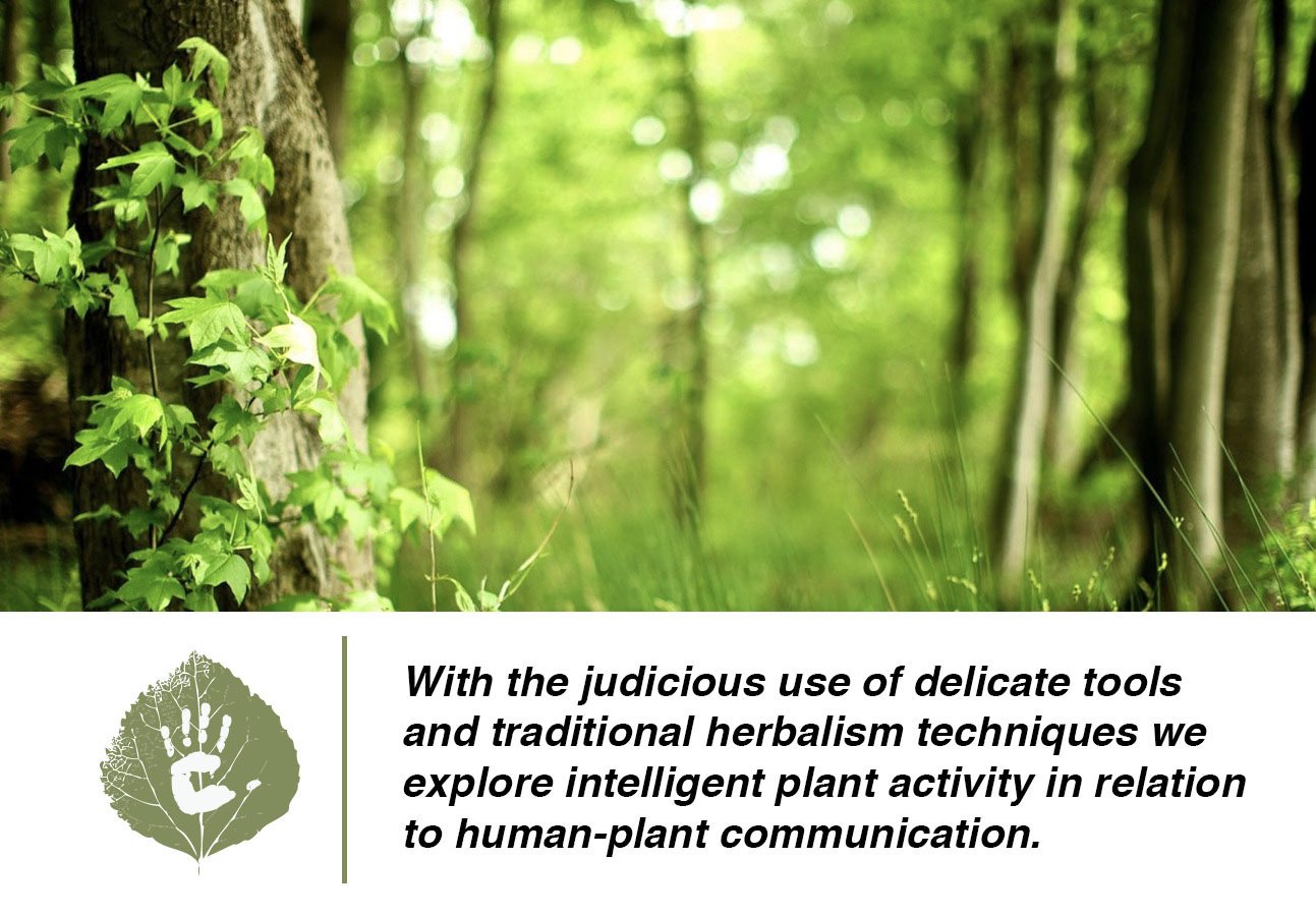 Plant Pioneers