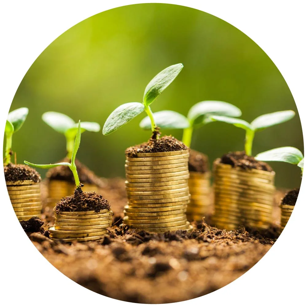 switch our services circle.jpg