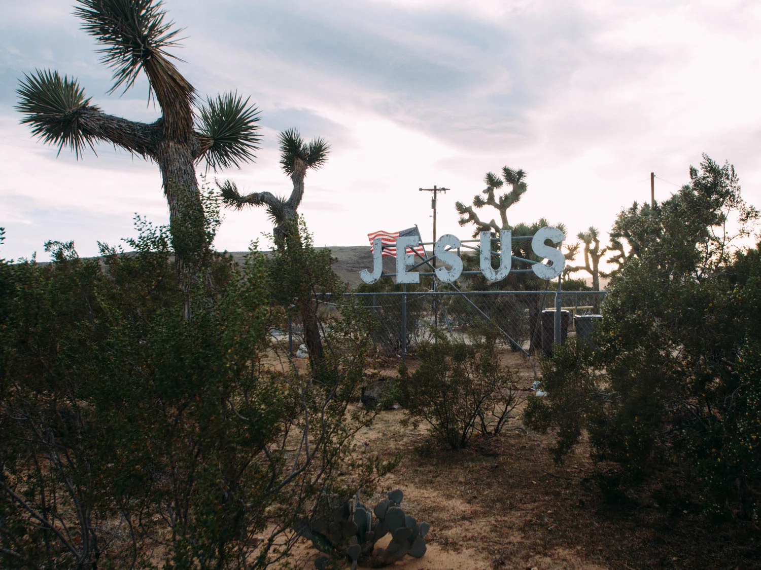 Yucca Valley Travel Guide-9.jpg