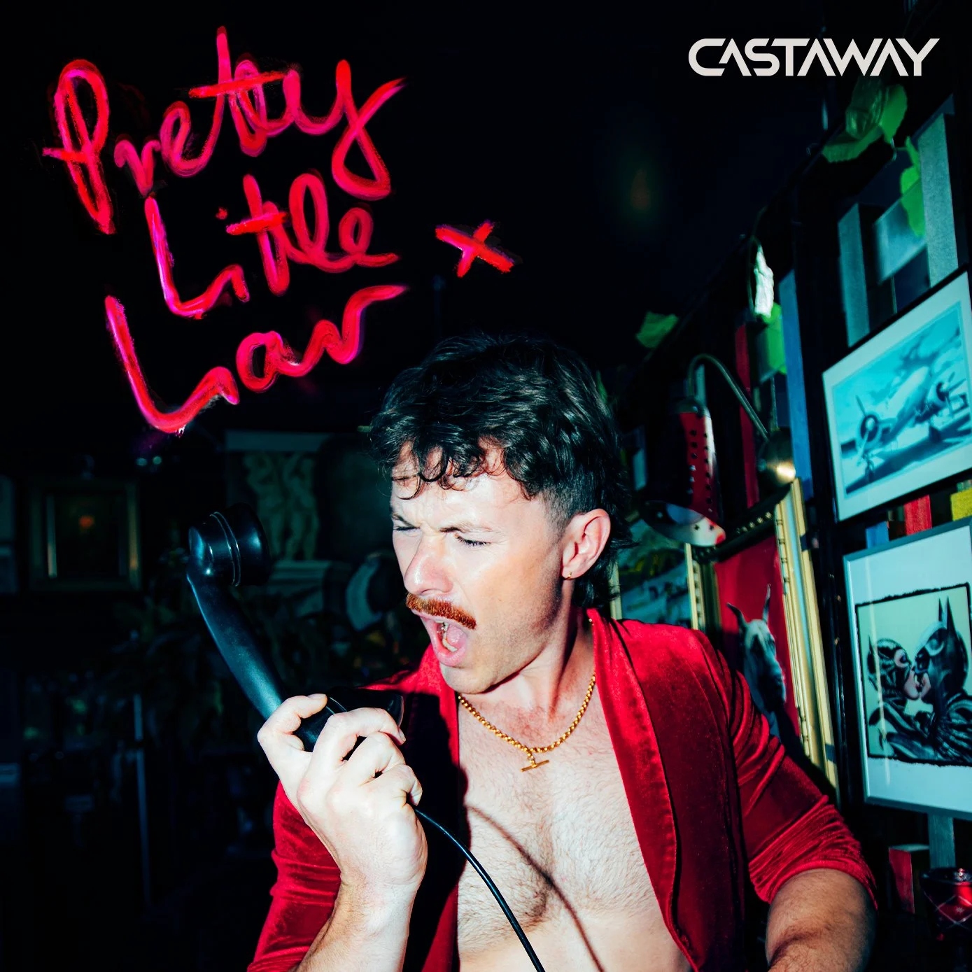 Pretty Little Liar Cover Art (1).jpg
