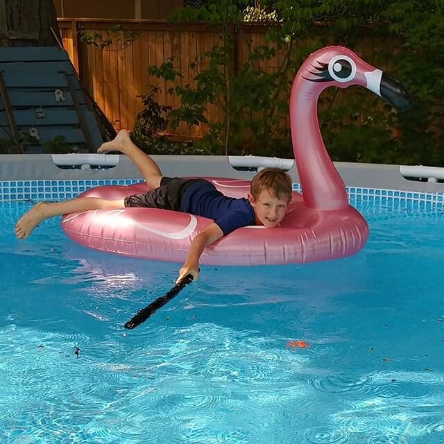 Nothing like a little pool time with a pink light-up flamingo to kick off the summer!