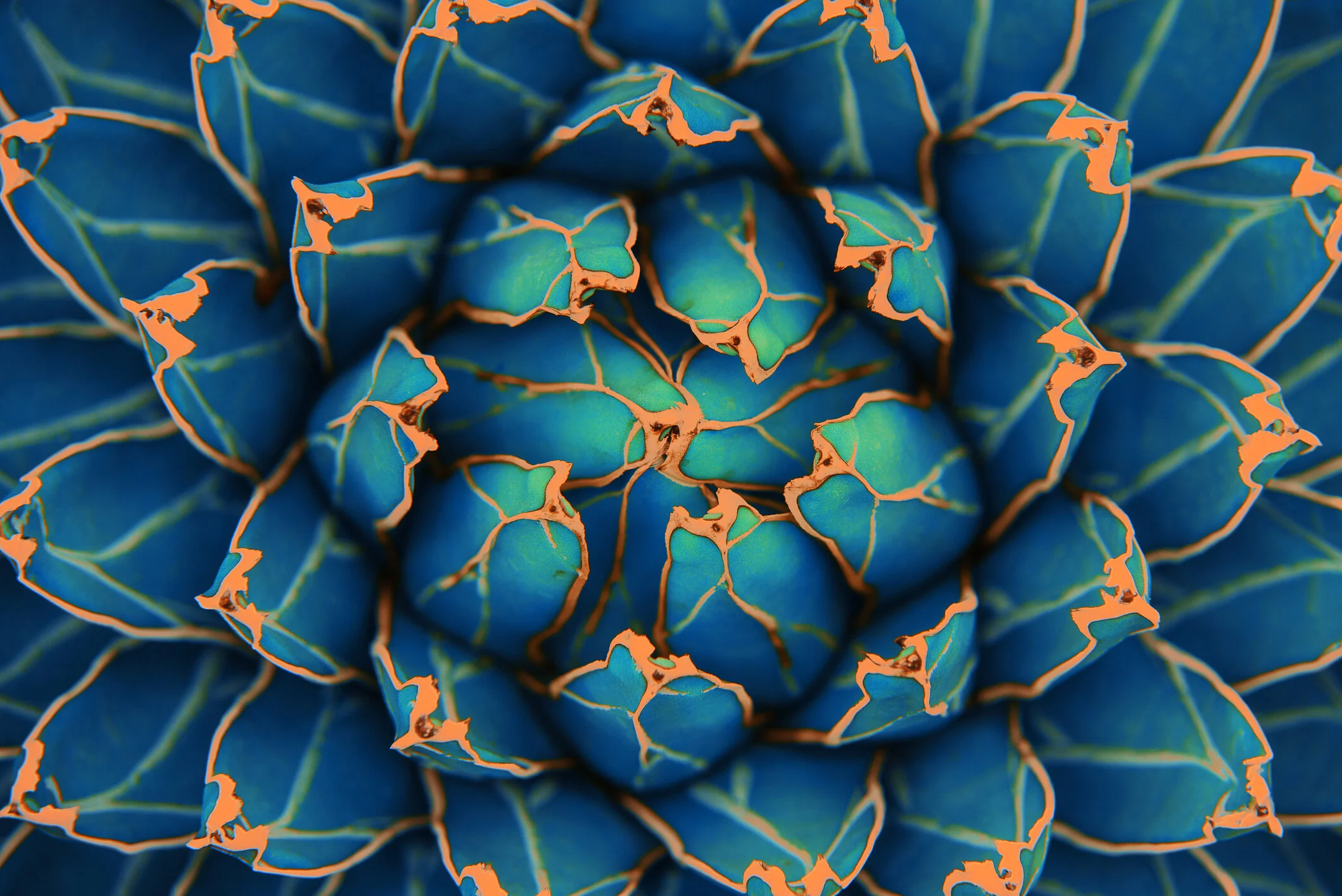 CBT PTSD Trauma OCD Anxiety Therapy Florida.jpg