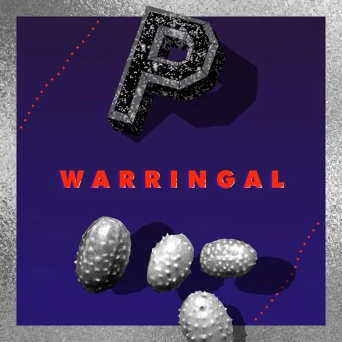 Paz - Warringal .jpg