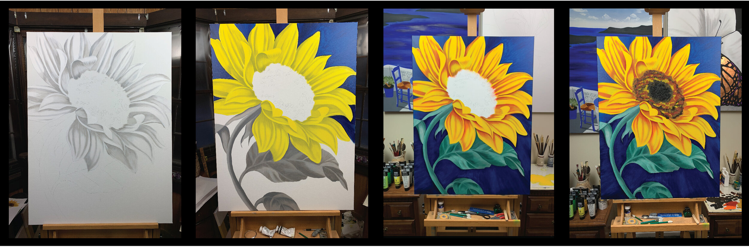 Sunflower Progression Pic-01.jpg