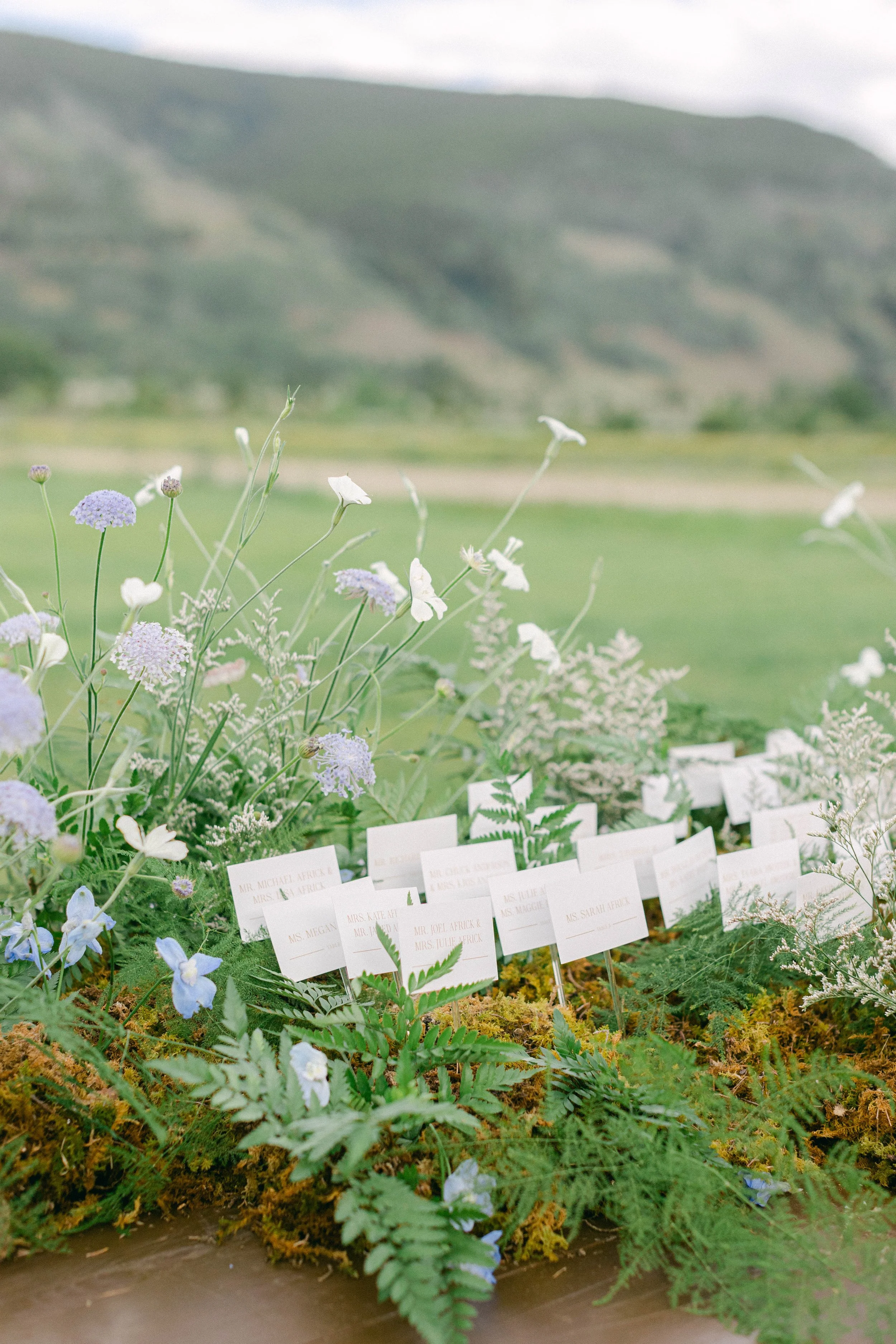 CampHale_Reception-571.jpg