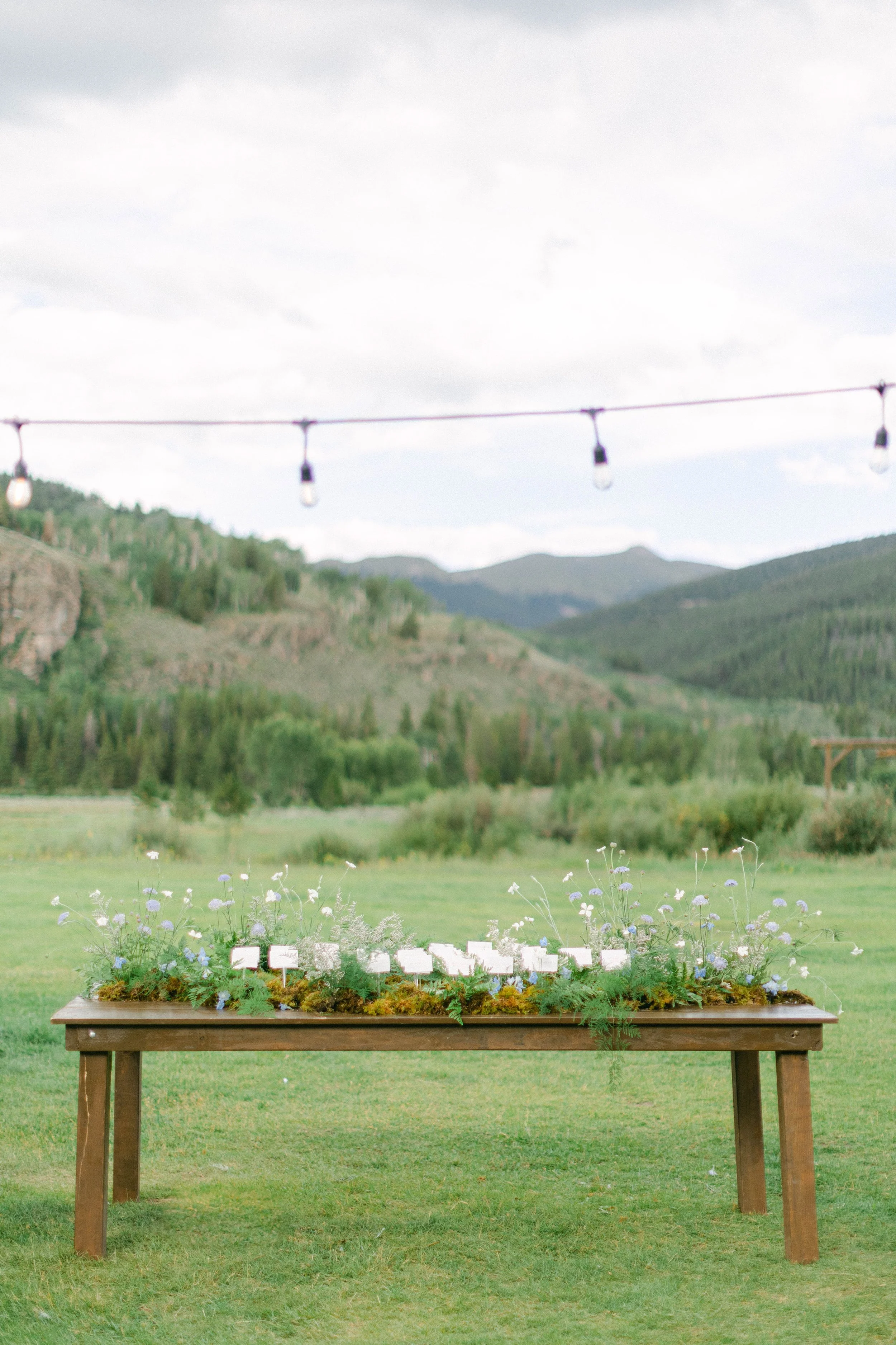 CampHale_Reception-564.jpg