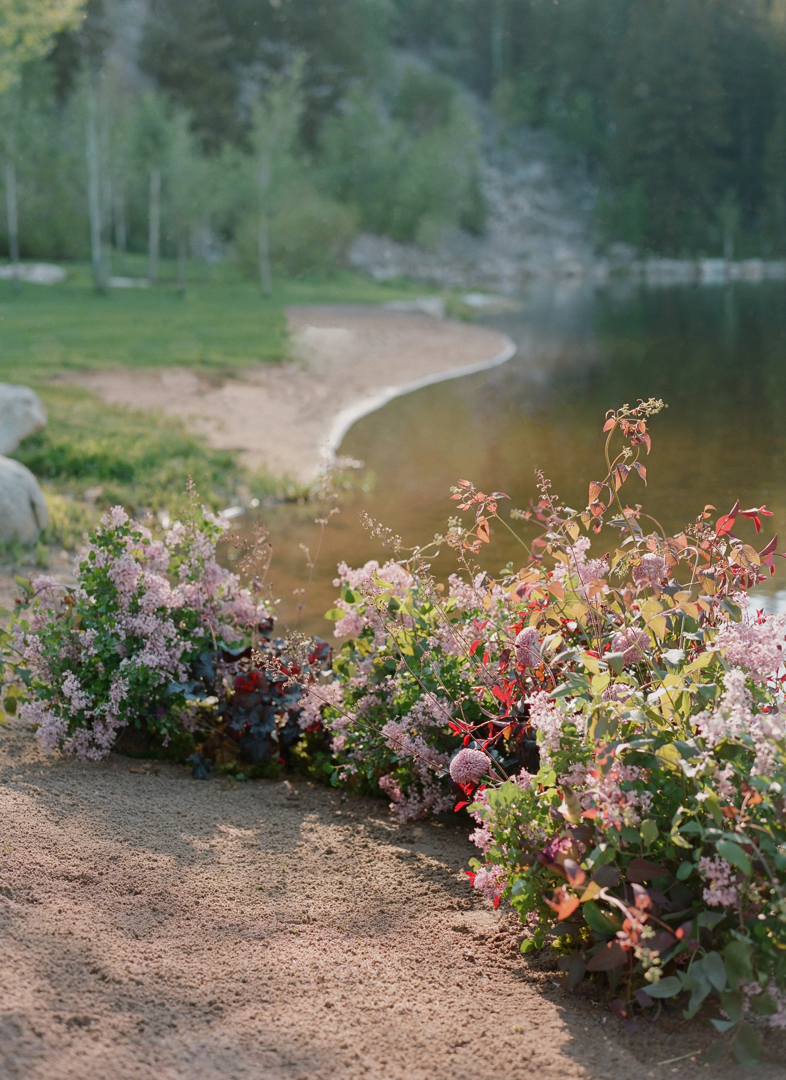188 Rocky Mountain Bride _ Aspen Shoot.jpg