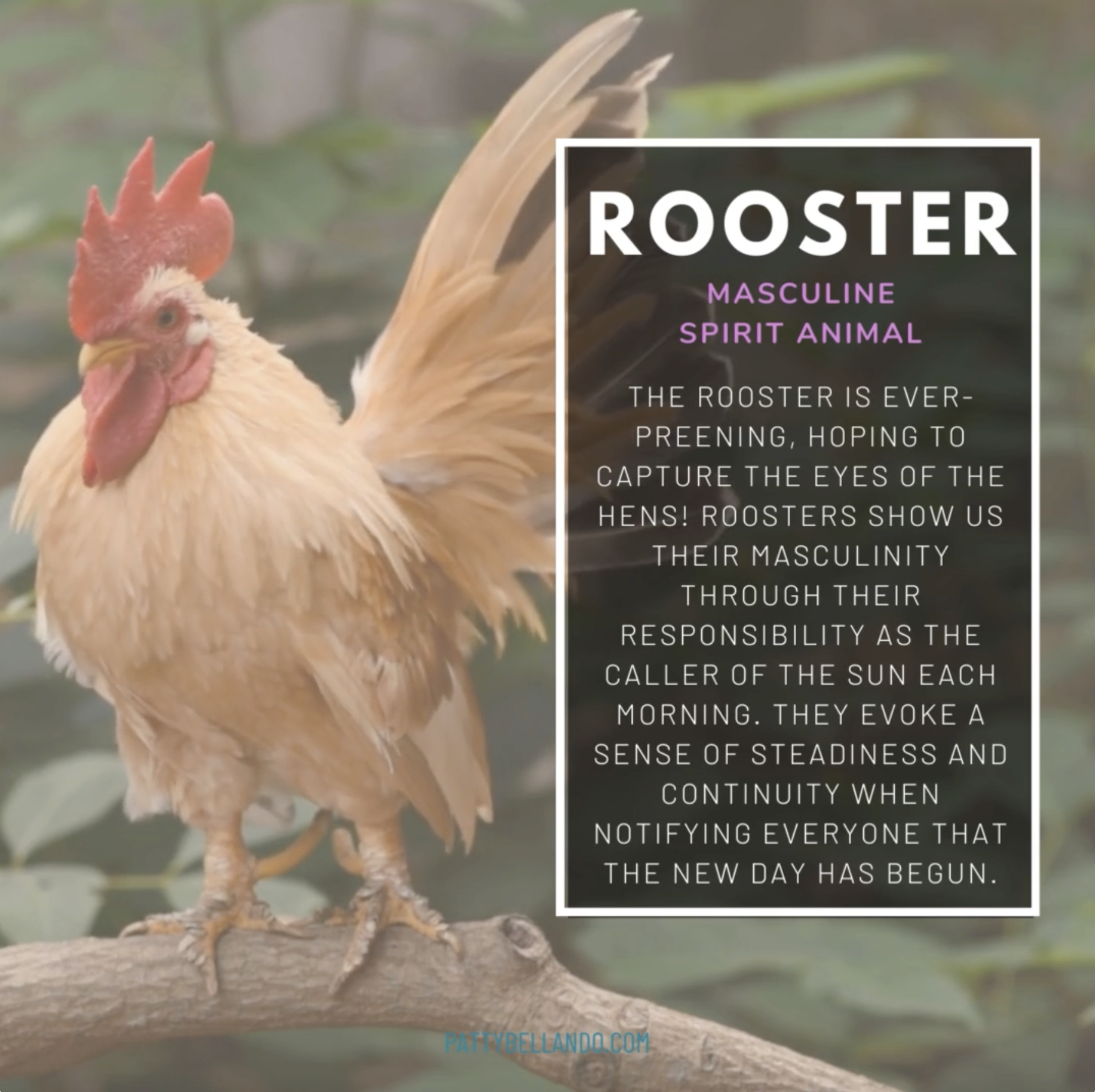 Screenshot 2024-08-25 at 15.52.30.png