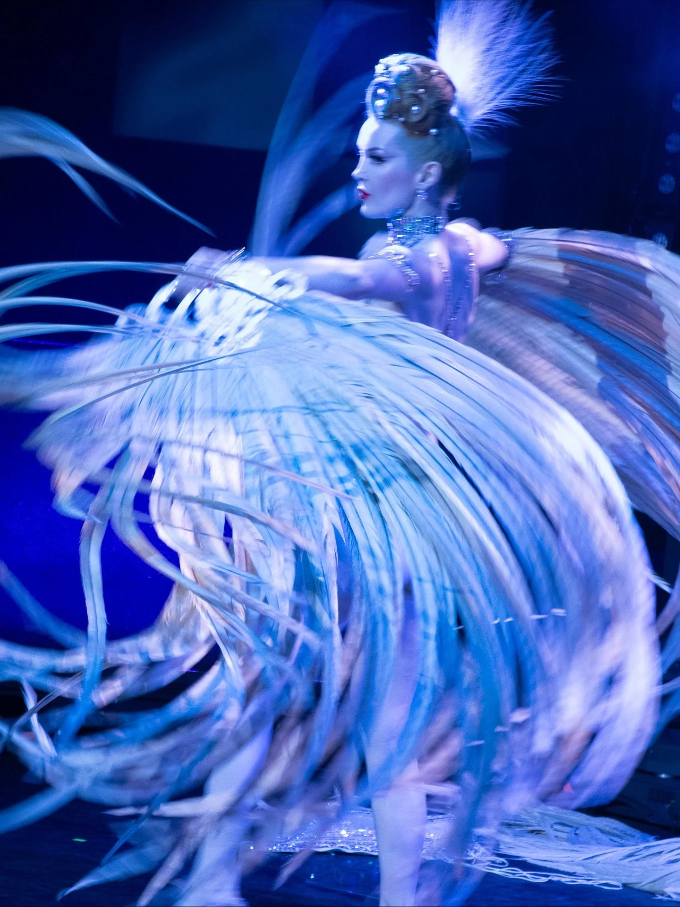 On stage at the stunning @wintergartenberlin for @vaudevillevarietyrevue captured by @zorajurenkovaphotography 💎 This was such a magical night, thank you so much for having me @sheilawolf! #burlesque #showgirl #fandance #feathers #berlin #swarovski 