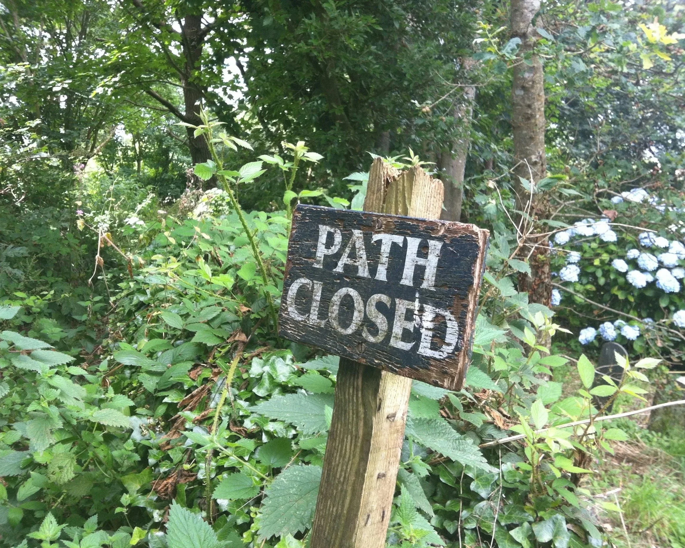 How Do I Navigate My Current Reality When It's Not What I expected It To Be? 