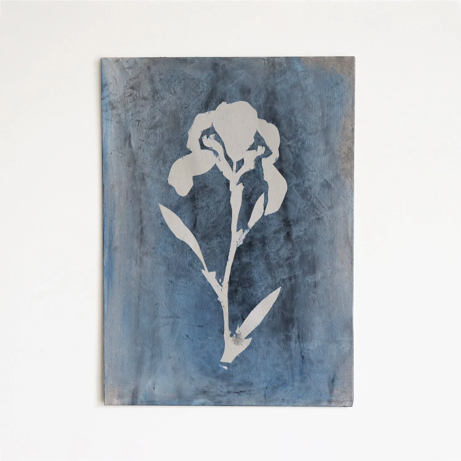 Iris (1)