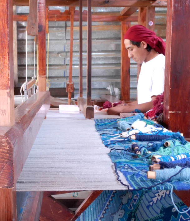 Friends of Oaxacan Folk Art — Textiles #29.jpg