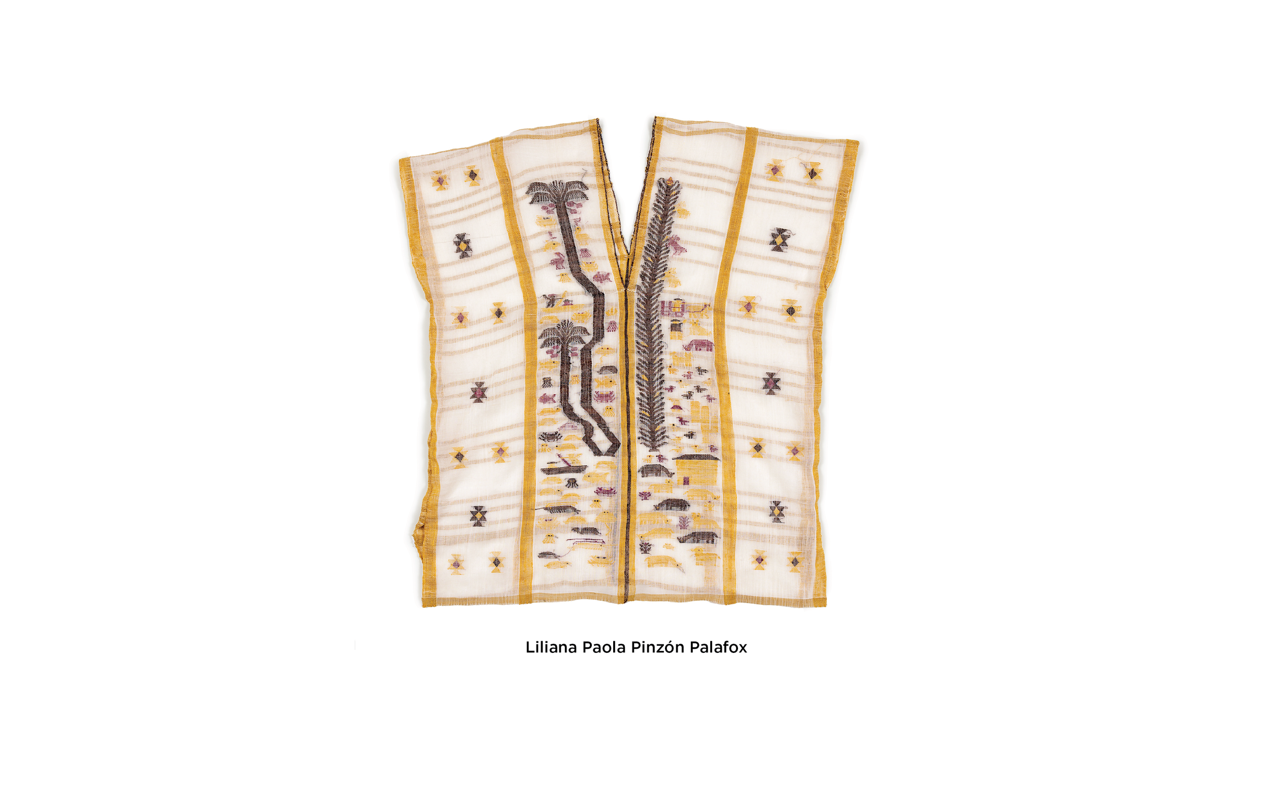 FOFA_New_Homepage-Gallery-11-22-04.png