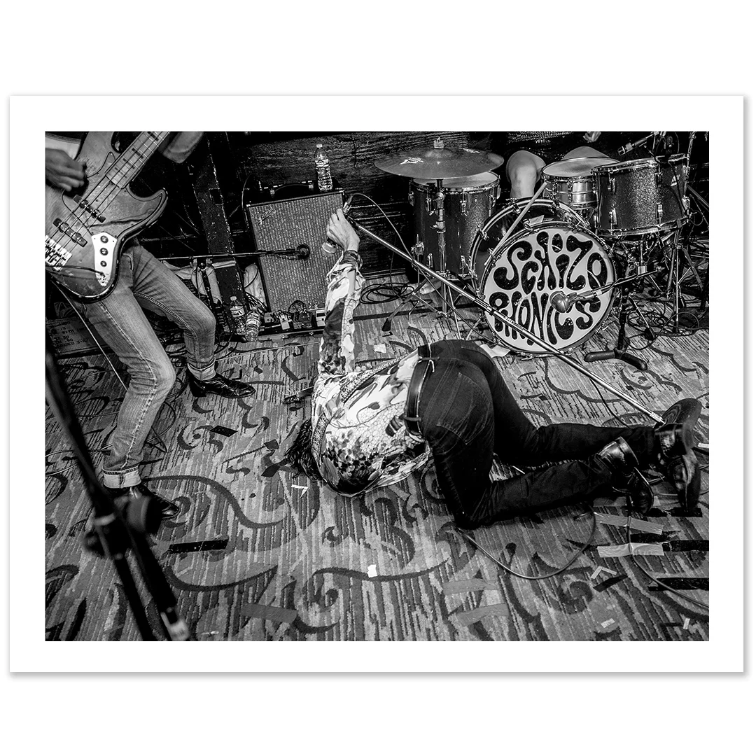 Schizophonics_Store.jpg
