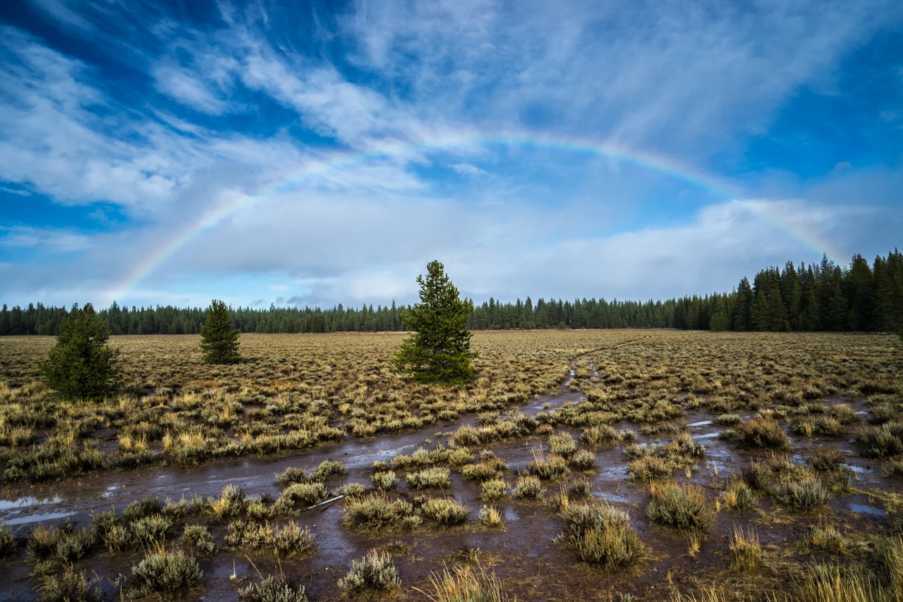 Blue Sky Rainbow