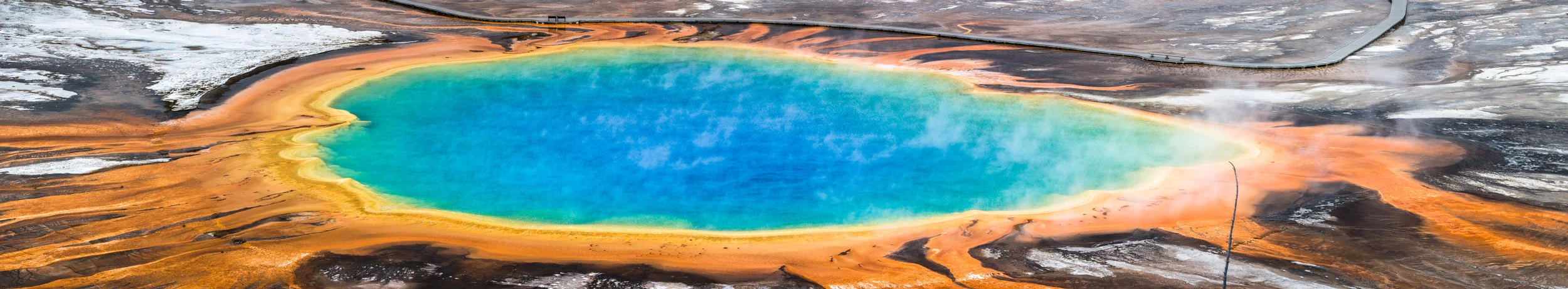 Forbidden Spring
