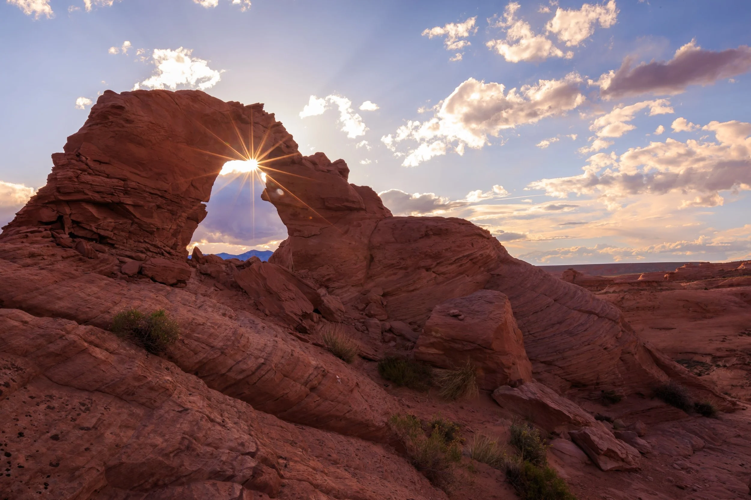 shutterstock_419926573-min.jpg