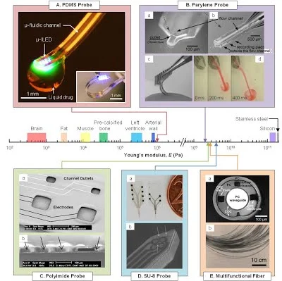 Minimally invasive probe.jpg