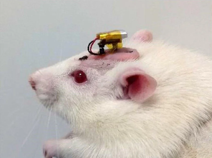 WirelessOptogenetics.jpg
