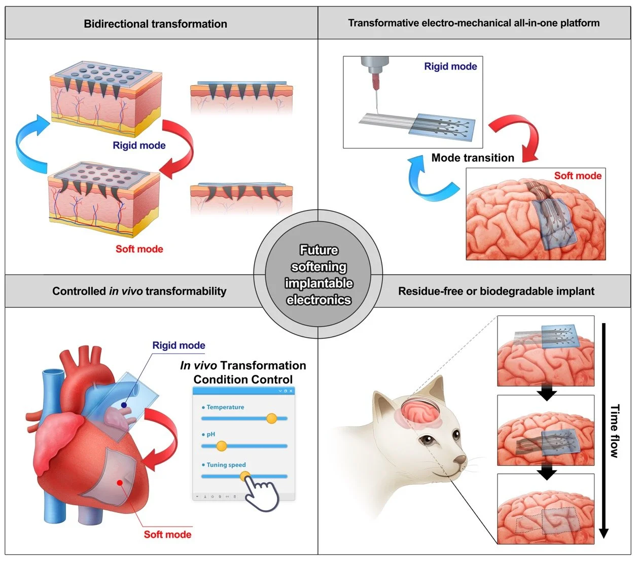 Softening implantables.jpg
