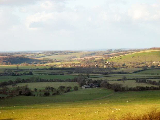 view.jpg