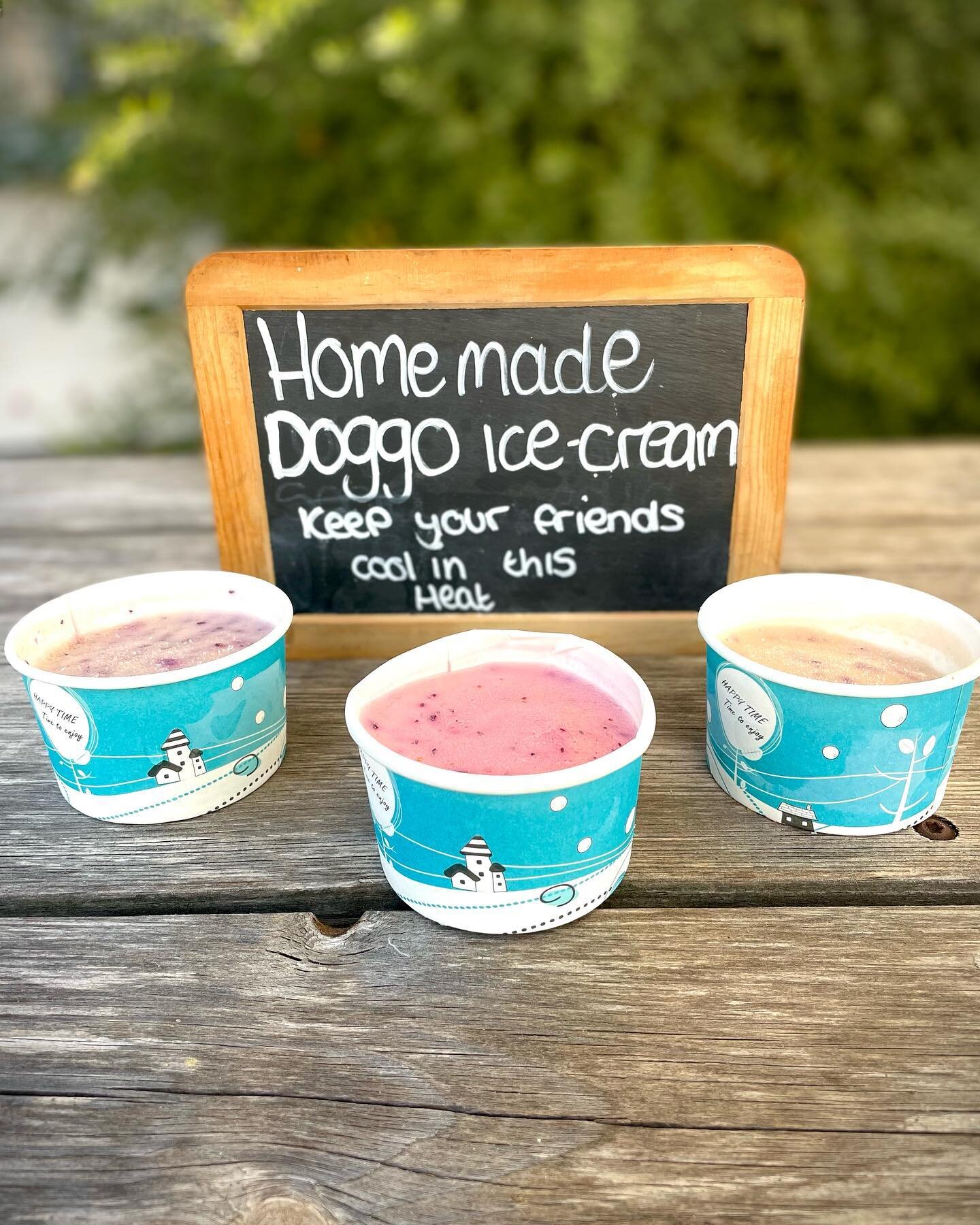 Are you and your pooches struggling in this heat? 🥵☀️ Bring them down with you, for your ice cold beverage 🍻, so they can enjoy one of our homemade &ldquo;Doggo Ice-creams 🐶🍦&rdquo;&hellip; fussy pup? No problem we have 3 different flavours, Stra