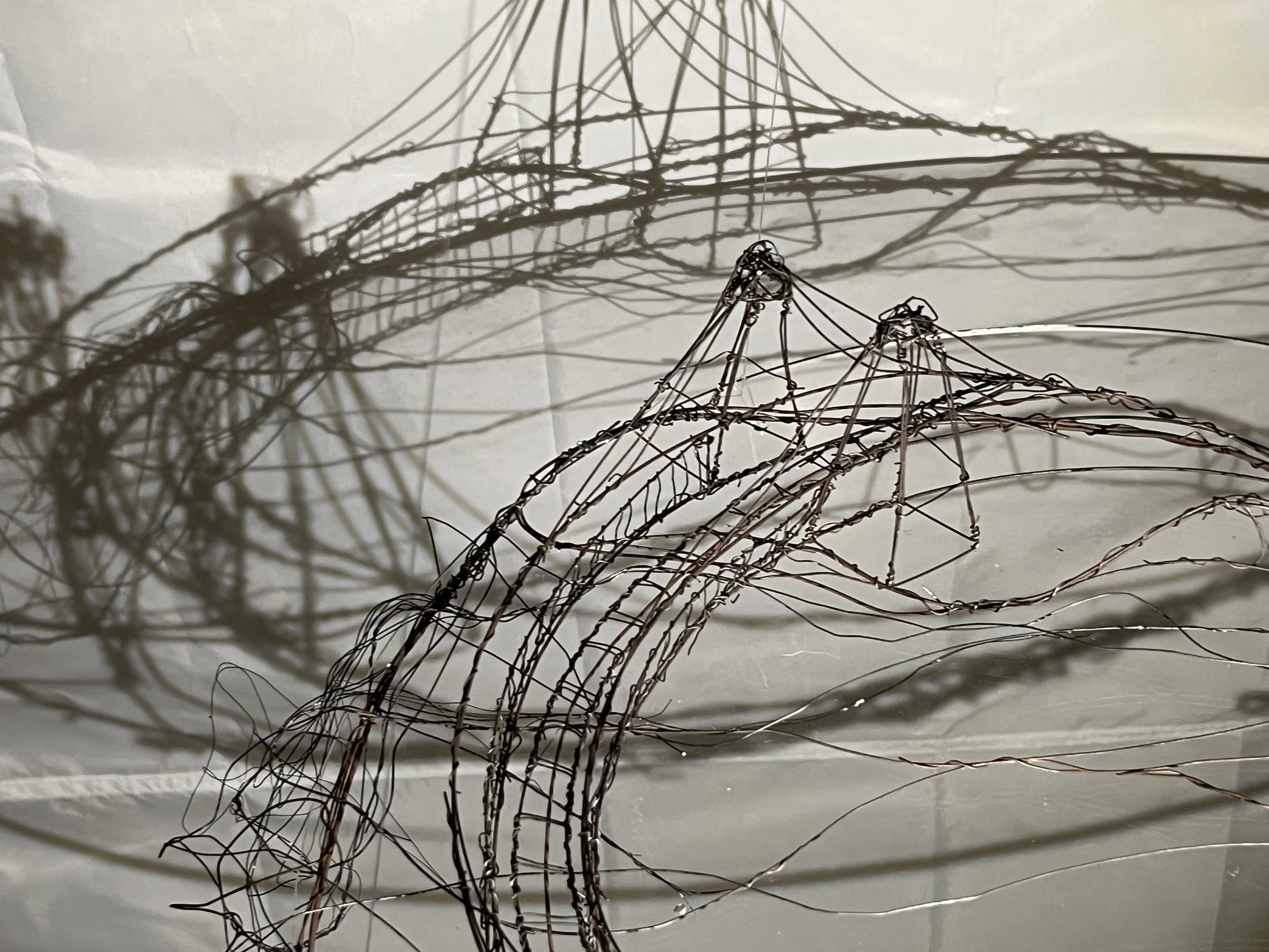  Photo by Tony Fisher