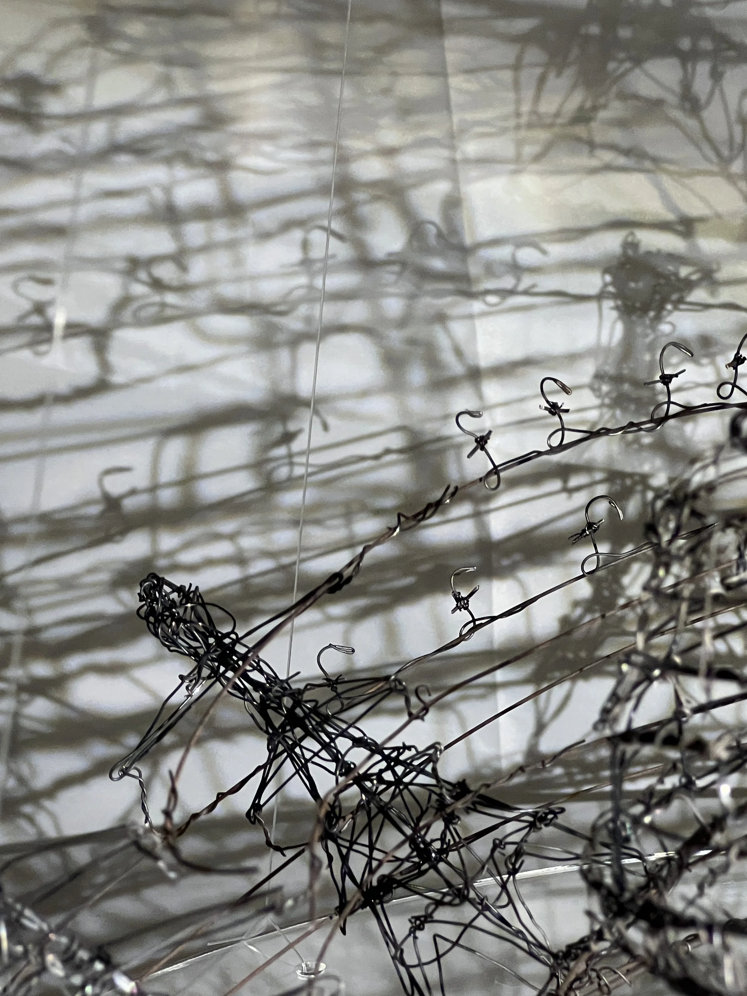 Photo by Tony Fisher