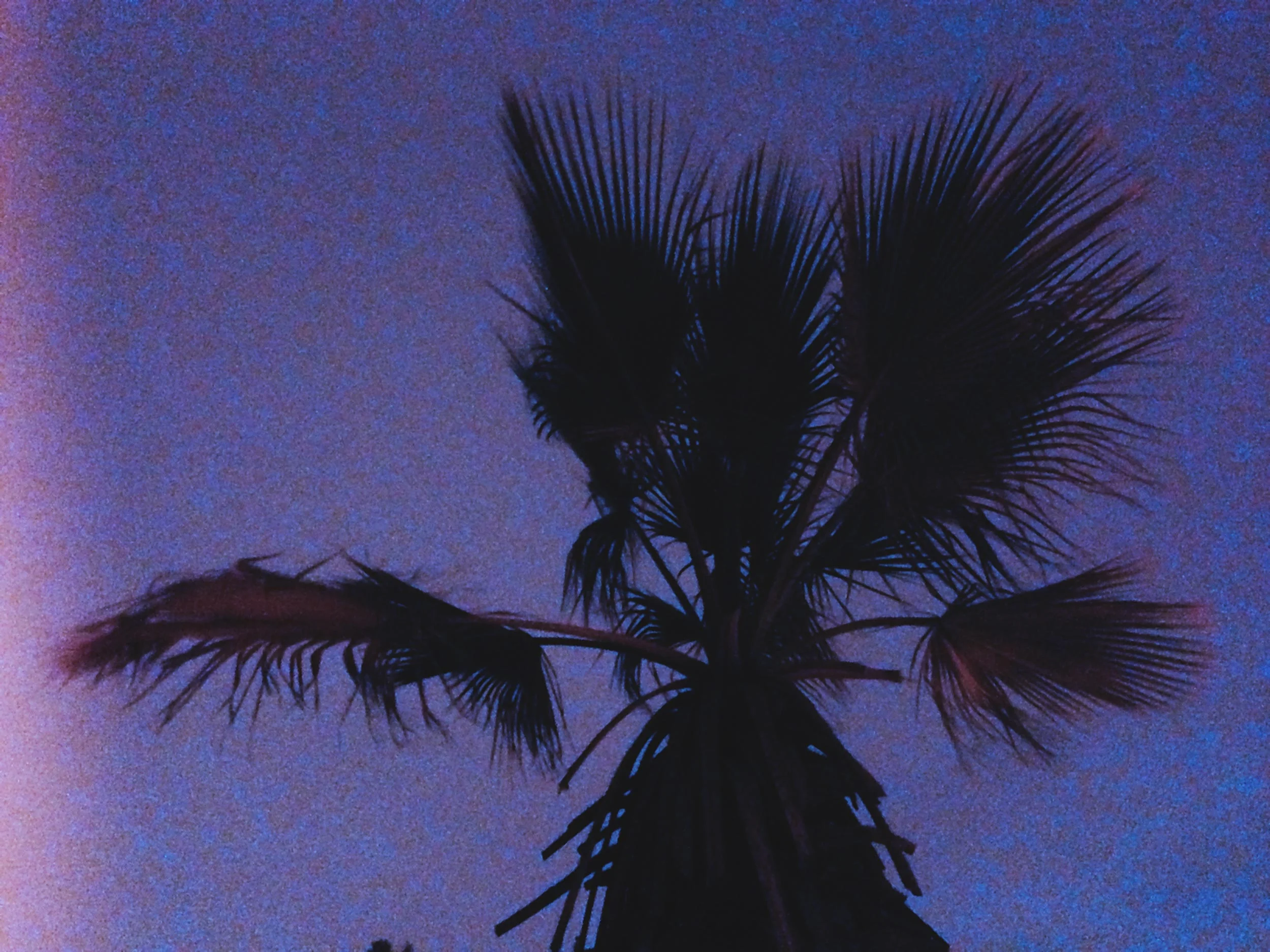 California, 2017