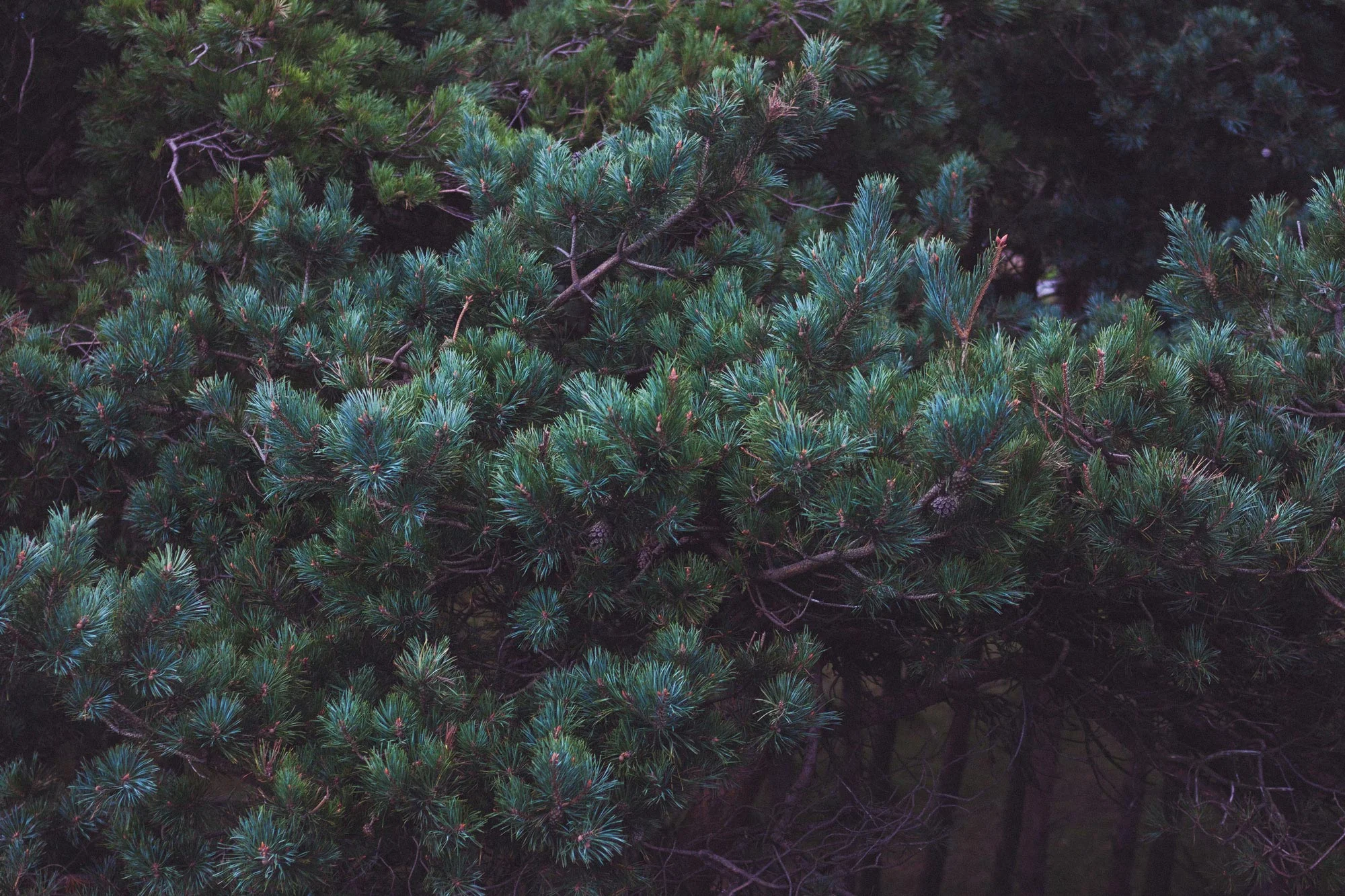 Denmark, 2016