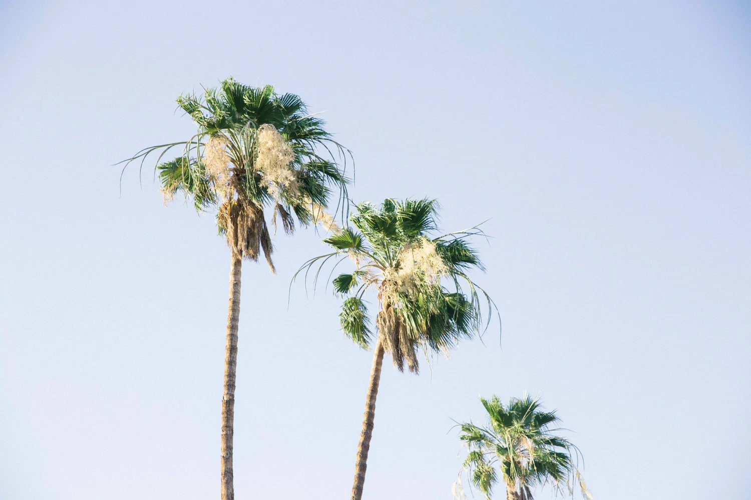 Palm Springs