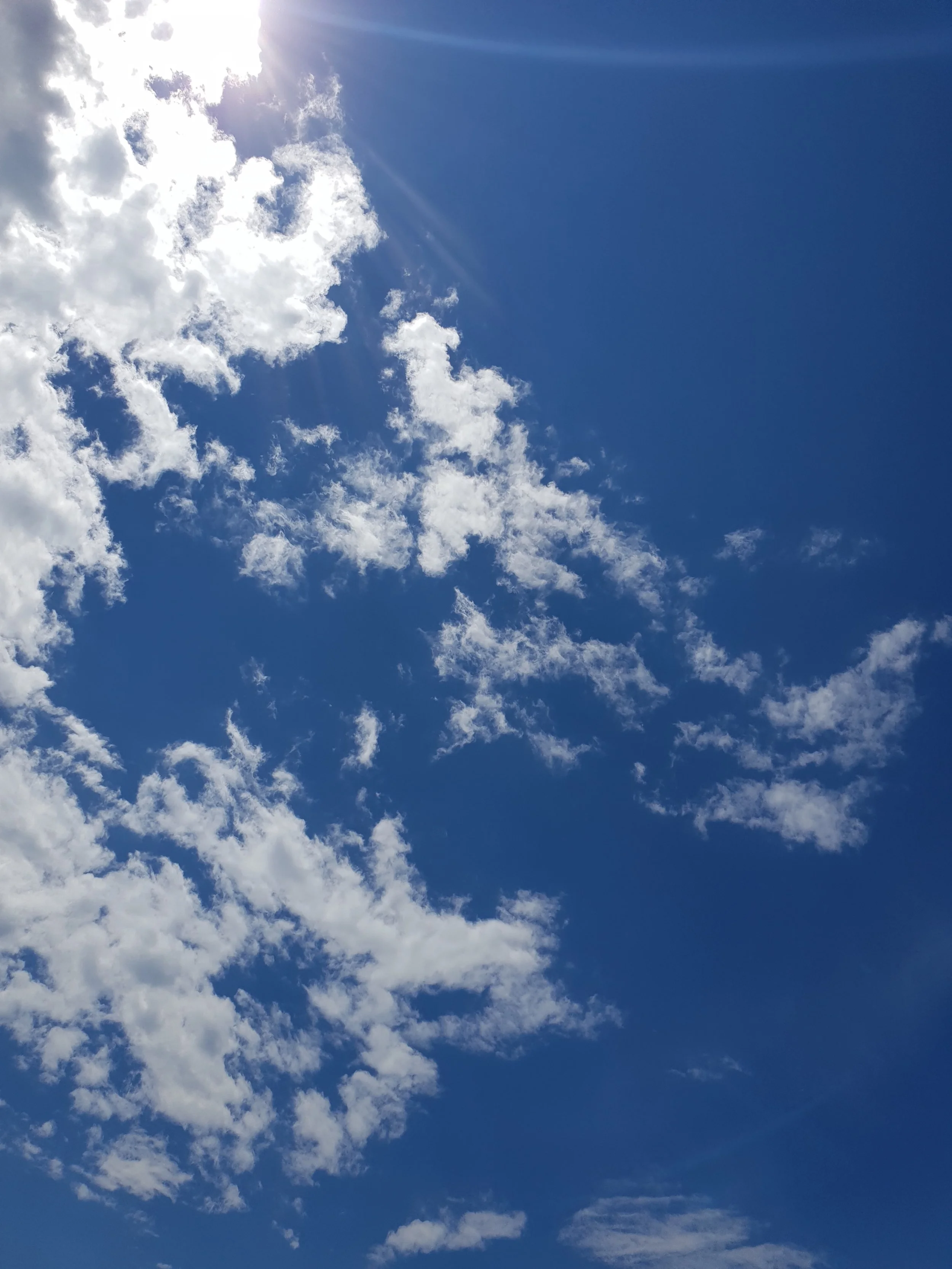 20180518_122501.jpg