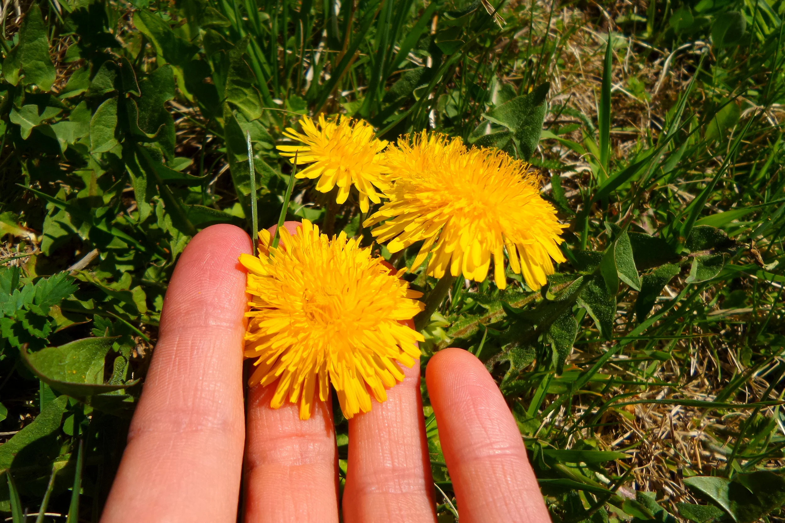 20170409_134039.jpg