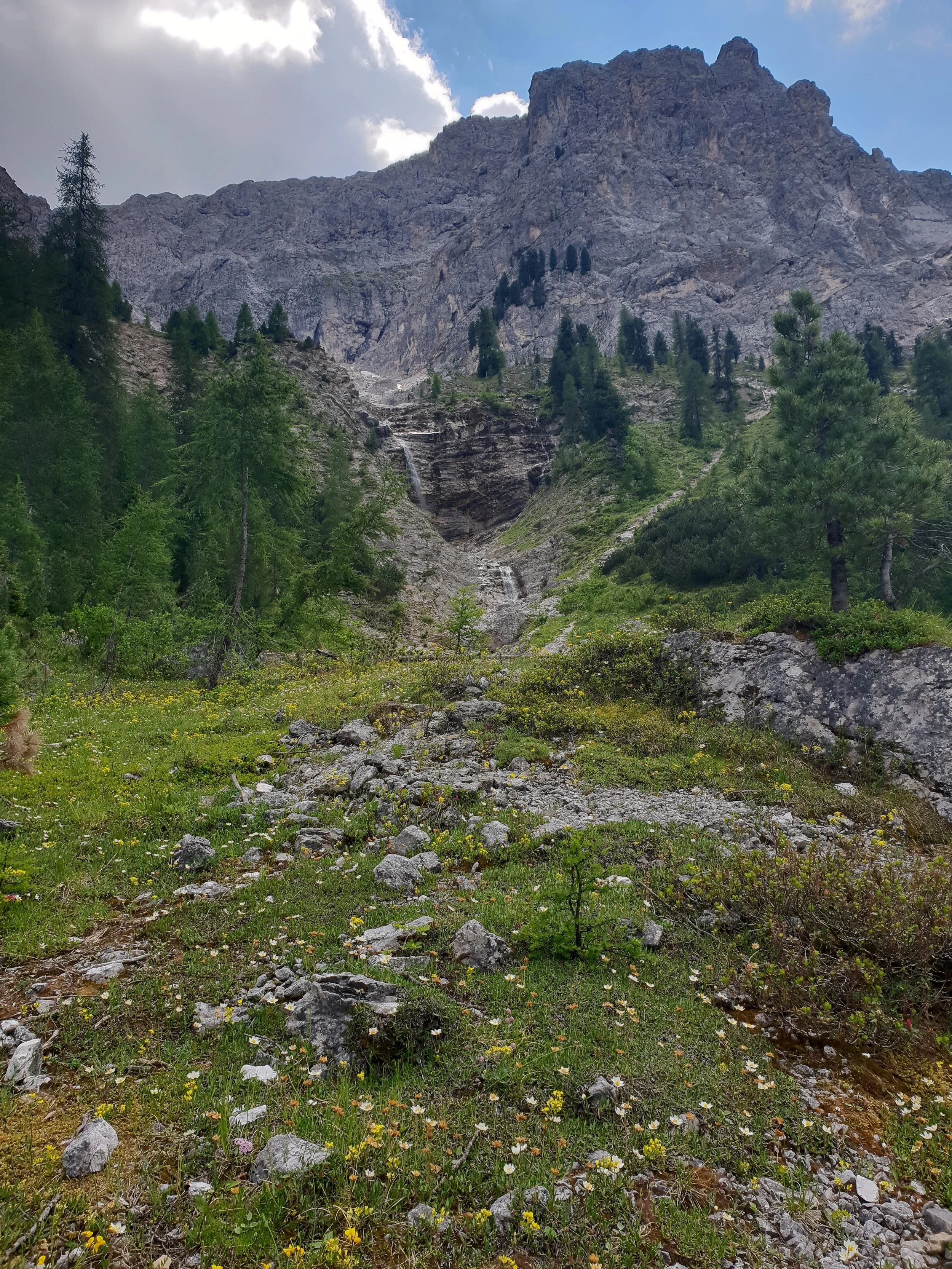 20180630_142015.jpg