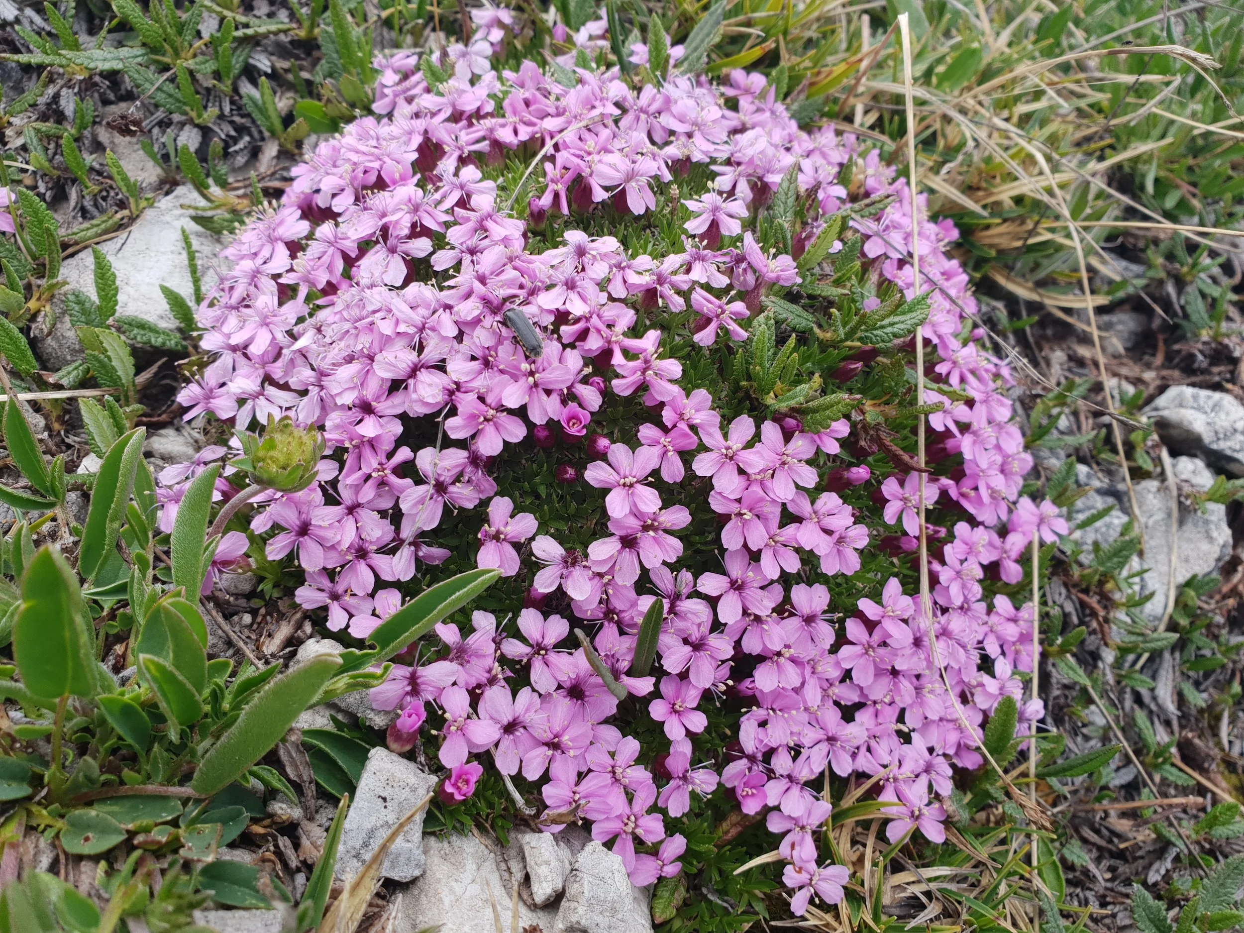 20180630_134220.jpg