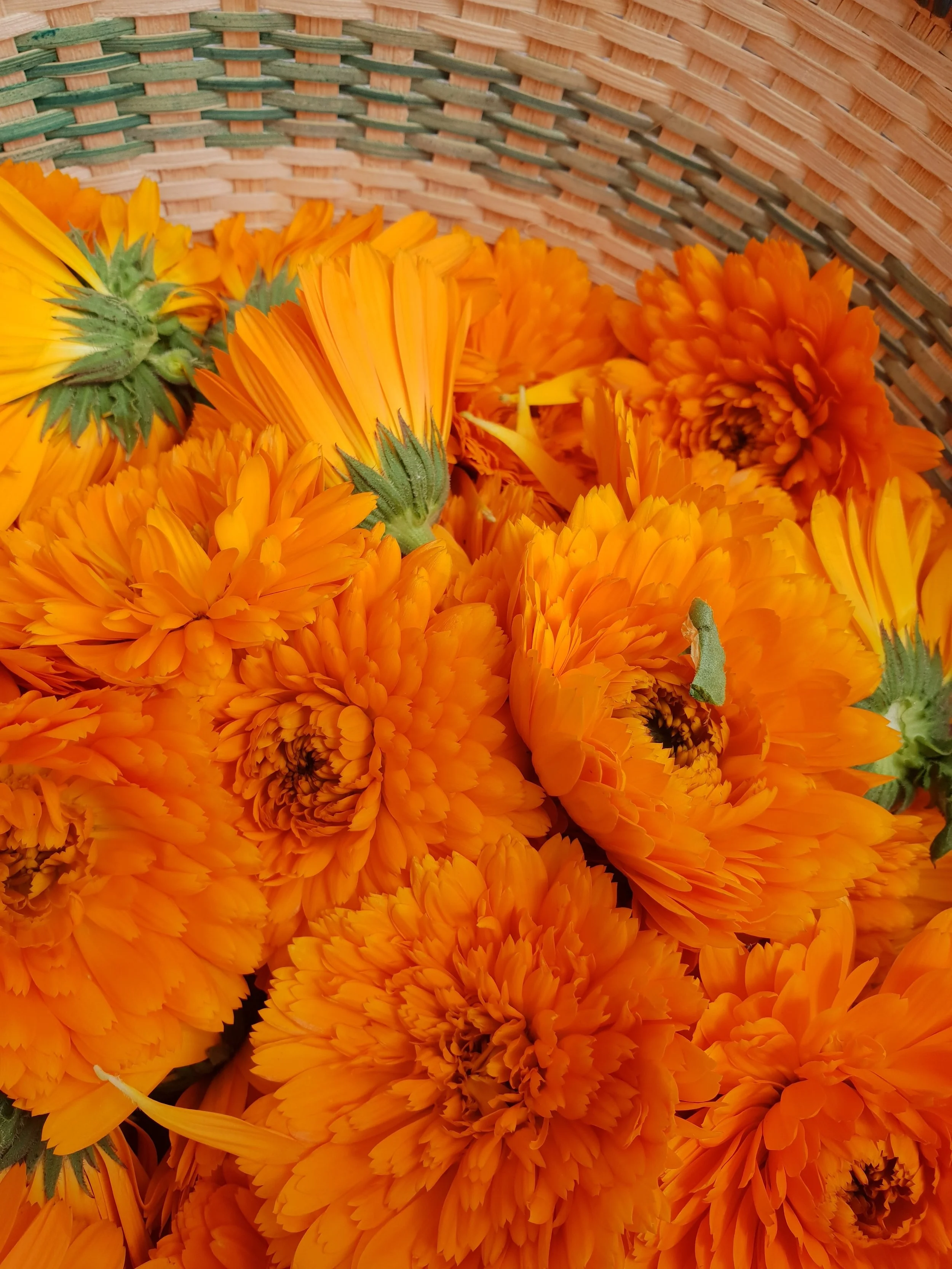 20180709_140924.jpg