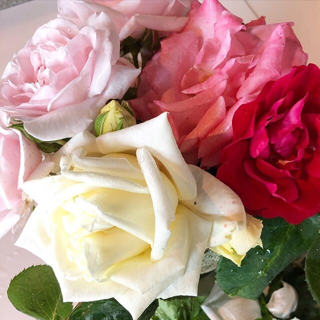 Nyplockat fr&aring;n rosen v&auml;ggen..kolla i min story..den h&auml;r lilla buketten blir vacker i mitt badrum🍃

#evening #roses #garden #mygarden  #inspiration #bj&auml;re #bouquet