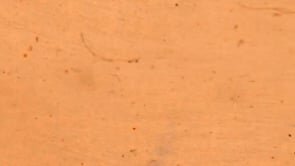 Firma di ROL animata