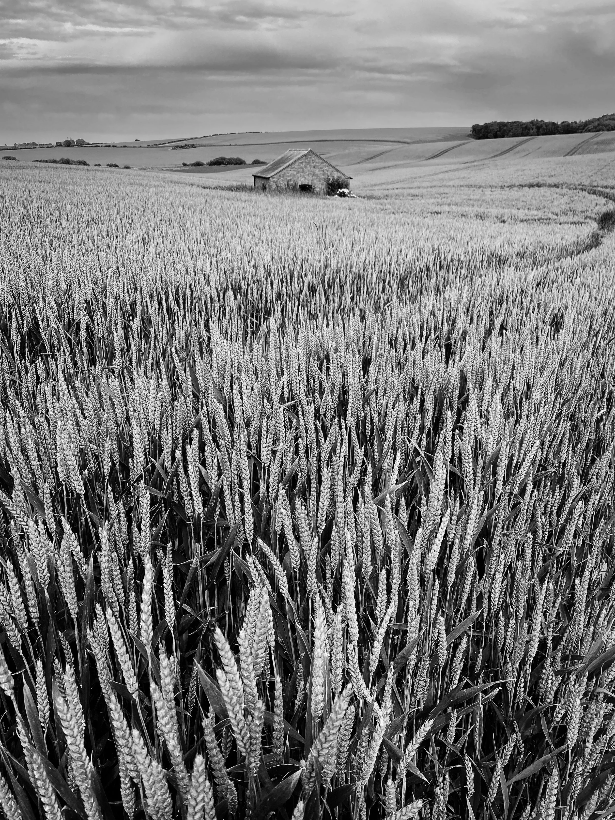 IMG_0991-Edit.jpg